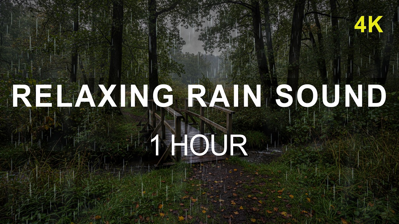 ⛈️ Best Rain Sound on the Wooden Bridge | Dark Night Rain Therapy | 1 Hour