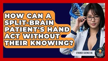 How Can A Split-brain Patient