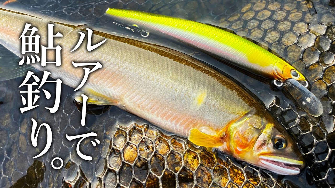 信じられないほど手軽に鮎が爆釣しました【アユイング】