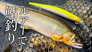 信じられないほど手軽に鮎が爆釣しました【アユイング】