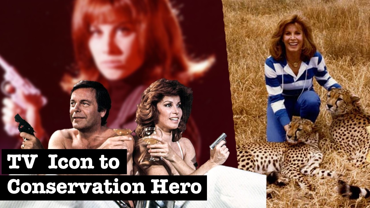 A Hart to Hart with Stefanie Powers