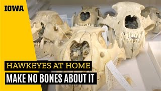 Hawkeyes at Home: Make No Bones About It @uiowaalumni