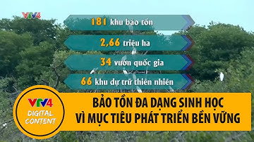 Bảo tồn đa dạng sinh học vì mục tiêu phát triển bền vững | VTV4