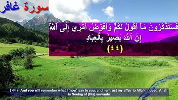 472  4  سورة غافر الاية 44  Translatorمترجم