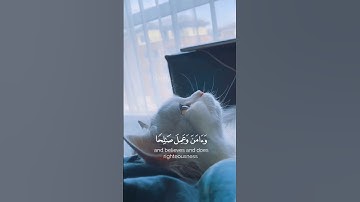 القارئ /شريف مصطفى(وَإِنِّي لَغَفَّارٌ لِّمَن تَابَ وَآمَنَ وَعَمِلَ صَالِحًا ثُمَّ اهْتَدَىٰ (82)🤍
