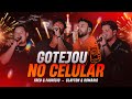 Fred e Fabrício, Clayton & Romário  - Gotejou No Celular (Clipe Oficial)