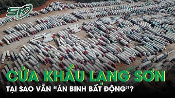 Tại Sao Cửa Khẩu Lạng Sơn Liên Tục "Án Binh Bất Động" Gây Ùn Tắc? | SKĐS