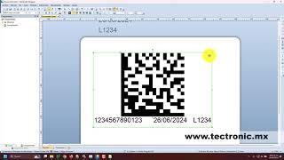 Tutorial Códigos 2D práctico para la Trazabilidad usando Bartender, ZPL, QR, Datamatrix y Code 128 screenshot 4