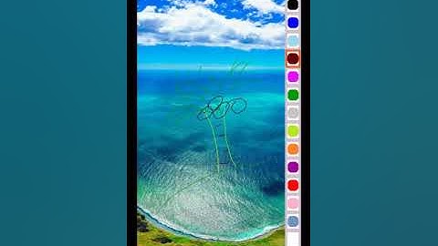 paint flutter demo app