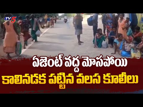 వలస కూలీల గోస.... Migrant Labours suffering to go their Own Viillage | AP Updates | TV5 News - TV5NEWS