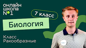 Класс Ракообразные. Видеоурок 15. Биология 7 класс
