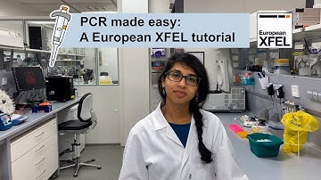PCR Testing Made Easy: A European XFEL Tutorial