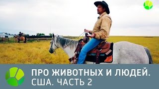 США. Часть 2 - Про животных и людей | Живая Планета