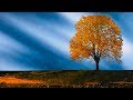 Peaceful music, Relaxing music, Instrumental music "Echoes of Time" by Tim Janis