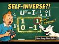 Ch2S5P5 | Upper Triangular Matrix – Self Inverse Trick Revealed!