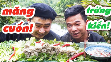 MĂNG CUỐN TRỨNG KIẾN | ĐẶC SẢN DÂN TỘC | NGƯỜI MIỀN NÚI