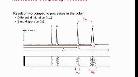 Understanding HPLC:  Competing Processes leading to resolution