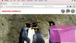 Website Diary 37 - lightbox
