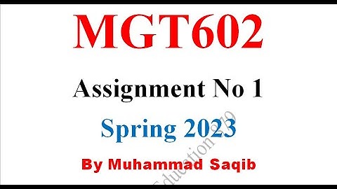 MGT602 Assignment 1 Solution Spring 2023 MGT602 Assignment 1 Solution 2023