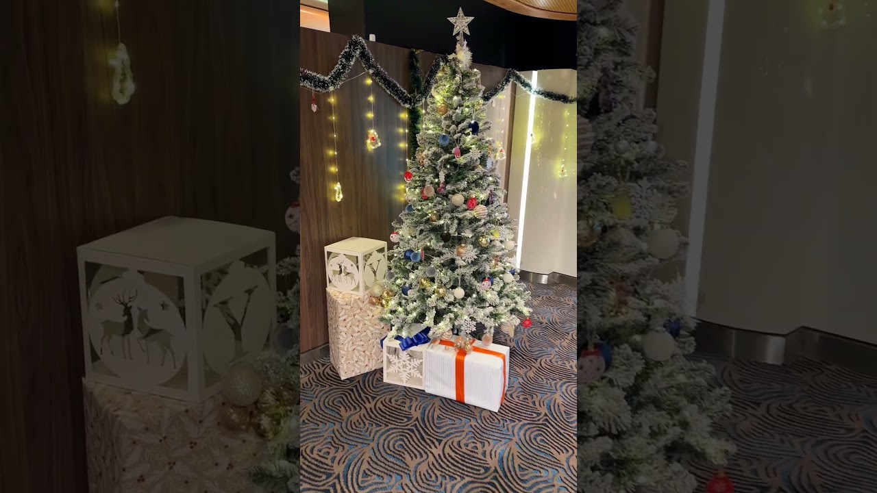 Book that Christmas cruise!