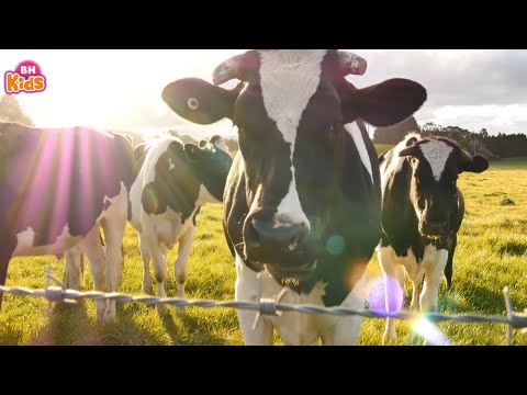 Con Trâu - Nhạc Thiếu Nhi Vui Nhộn Cho Bé Ăn Ngon ♫ Bé Đi Mẫu Giáo ♫ Con Mèo Ra Bờ Sông tại Xemloibaihat.com
