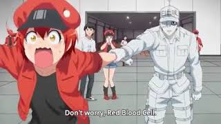 White Blood Cell x Red blood Cell & Platelet, Hataraku Saibou, Cells at  work!, Cr: ぺムスカ