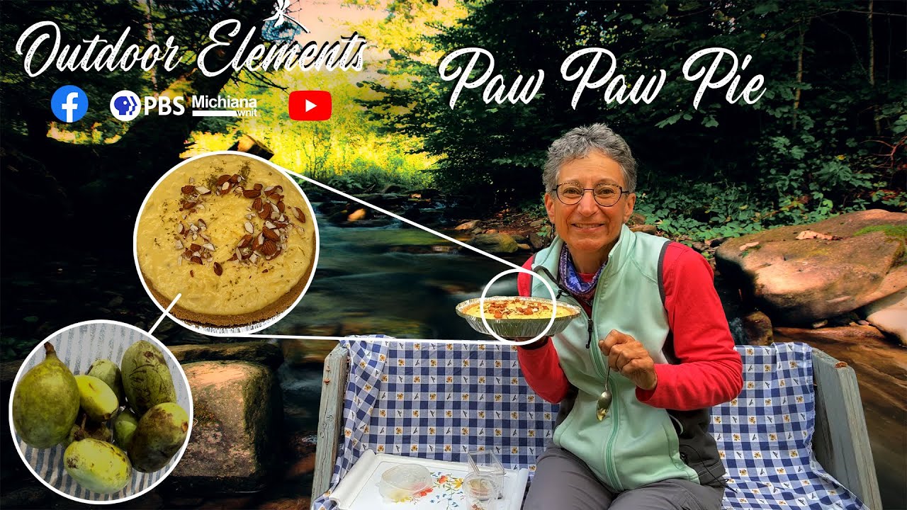 Пау-пау-пай | Элементы для отдыха на природе