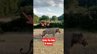 Animals That Broke The Rules Of Nature And It Gets Worse