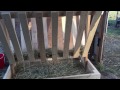 Goat Stall and feeder Goat Stall and feeder