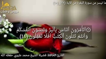 @مع القارئ الحافظ فضيلة الشيخ محمد عليوي يتلو علينا ماتيسر من سورة البقرة من الآية (٣٨)وحتى(٤٨)ص٧
