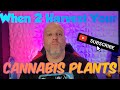 When is the correct time to harvest your indoor plant