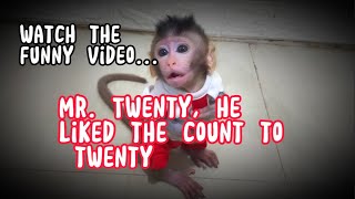 Mr.Twenty ,He liked the count to twenty . Lovely Fauna Youtube Channel    (educational videos)