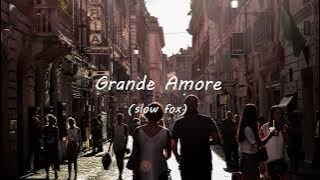 🎶 Grande Amore Slow Fox per Fisarmonica Ballo Liscio da Sala!