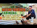 Amazing chicken farming  teacher na farmer pa young teacher get extra income from native chicken