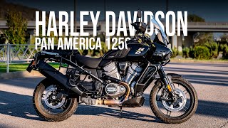 Harley Davidson Pan America 1250 (2021) | Мотопрокат Вечно Молодой Motors
