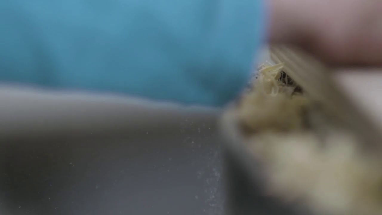 Benchmark Custom Signs | Website Video