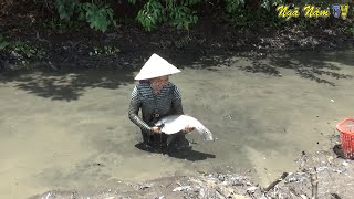 Cô Gái Miền Tây Truy Sát Cặp Cá Thác Cườm Khổng Lồ, Bắt Cặp Cá Lóc Khủng Trong Hang/NGÃ NĂM TV