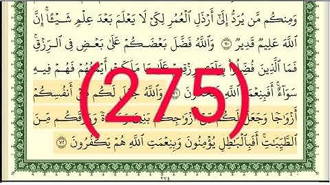 سورة النحل رقم الصفحة 275 مجود بصوت القارئ الشيخ أيمن سويد حفظه الله