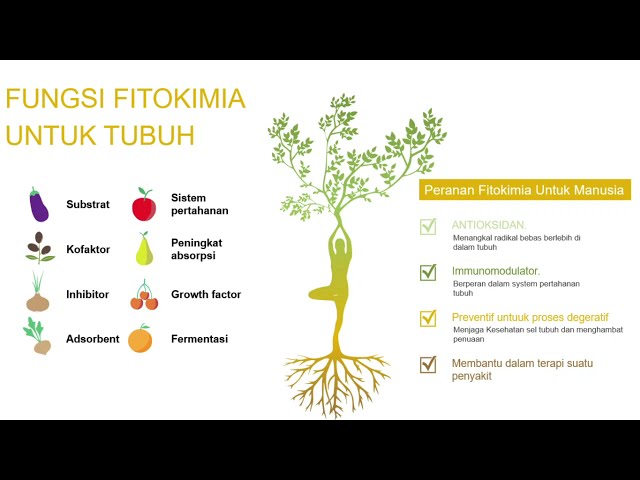 PART 1 - FITOKIMIA SEBAGAI NUTRASETIKA class=