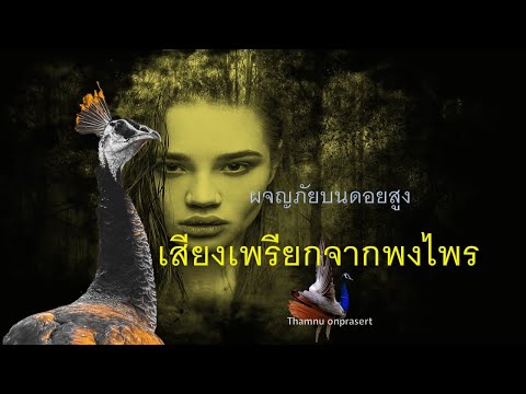 ๑๒๗.เสียงเพรียกจากพงไพร-ผจญภัย