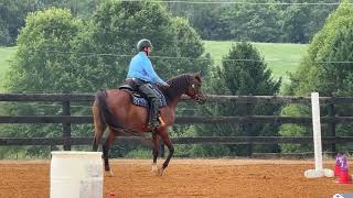 Mirenzo EOH at  Double edge dressage August 2026