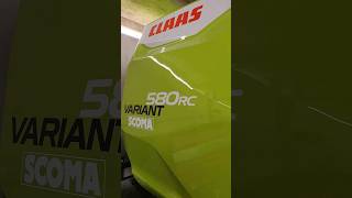 New Entry Aspettando Il Bel Tempo