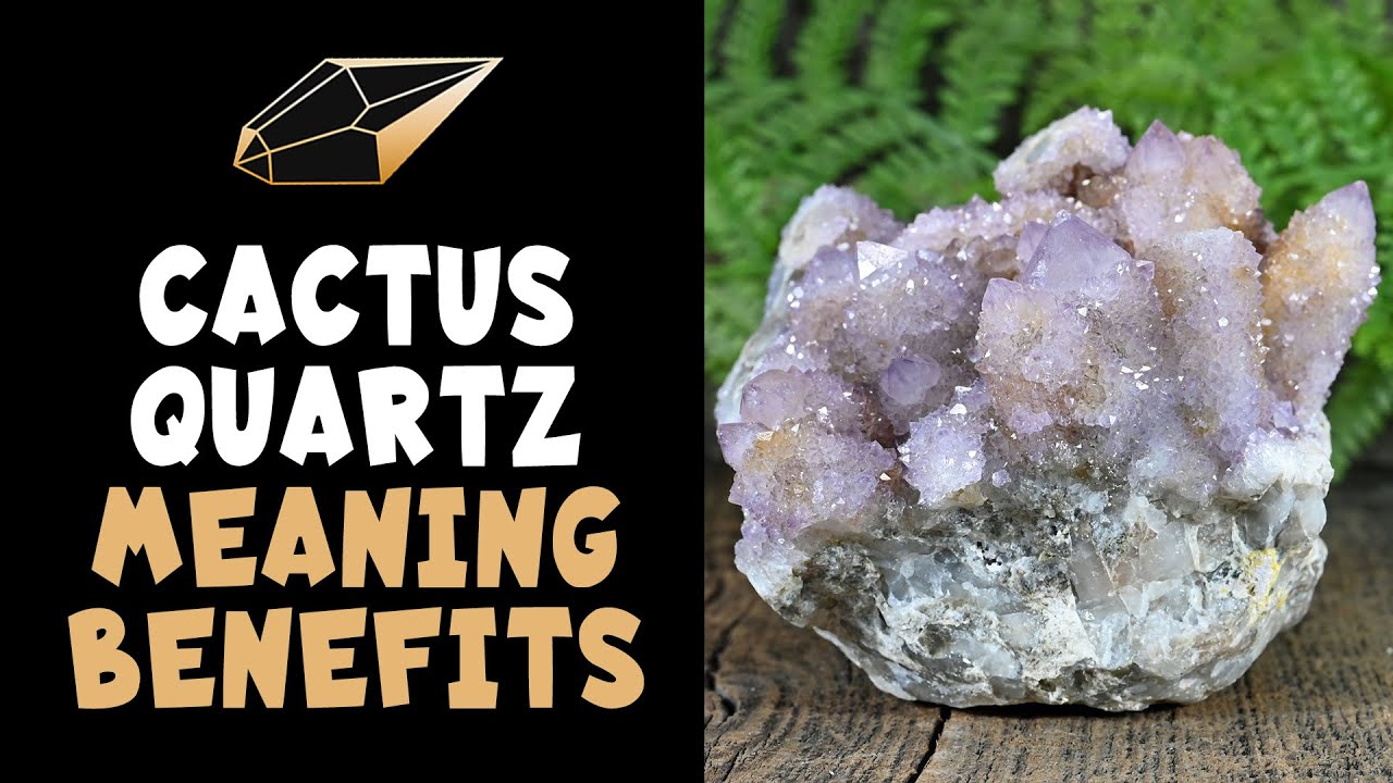 Cactus Quartz Meaning, Benefits and Spiritual Properties