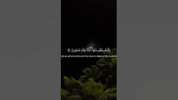 اسلام صبحي تلاوة سورة النمل بصوت يبكي القلوب #القرآن_الكريم #صوت_جميل #تلاوة_مؤثره #سورة_النمل