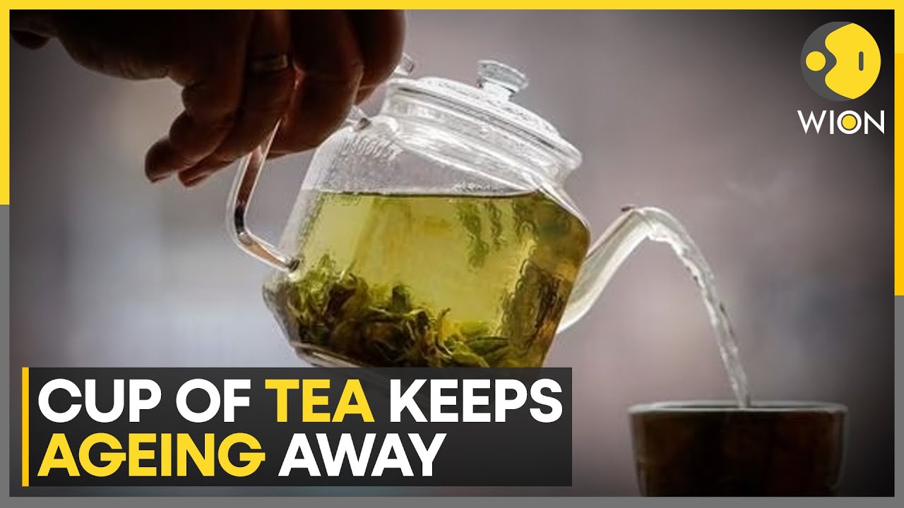 Tea consumption linked to reduced risk of heart disease, delayed ageing: Research | WION