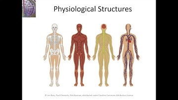 What Is Software Architecture