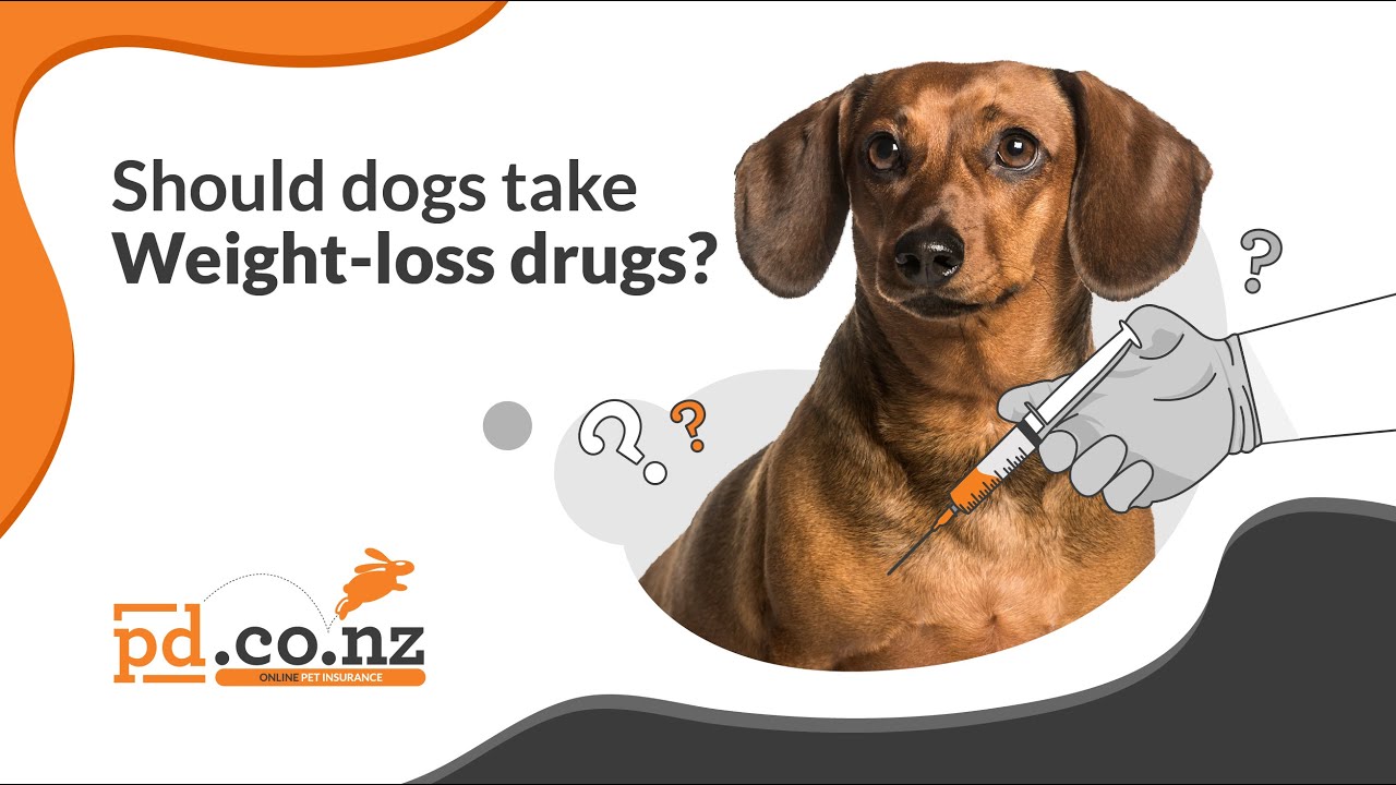 glp-1 stomach paralysis lawsuit in kentucky Have you suffered severe stomach paralysis (gastroparesis) after taking  Ozempic? You may be entitled to compensation! Ozempic lawsuits allege the  drug's warnings failed to mention a potential risk of gastroparesis & other