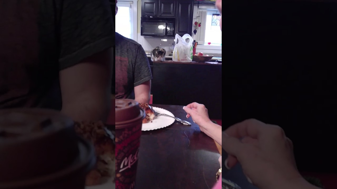 Trying a chocolate covered bacon donut