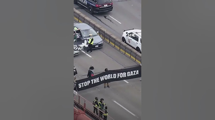 Pro-Palestine protesters shut down and block traffic on Golden Gate Bridge