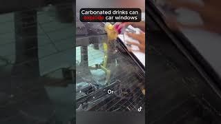 Soda exploding car windows 😲 #shorts